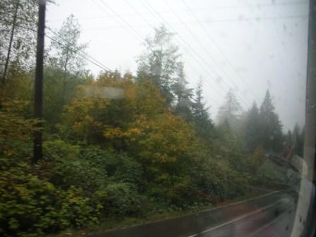 Cascade foothills on a rainy Sunday