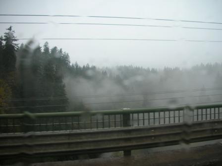 Cascade foothills on a rainy Sunday