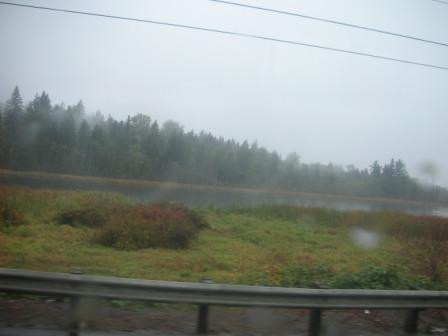 Cascade foothills on a rainy Sunday