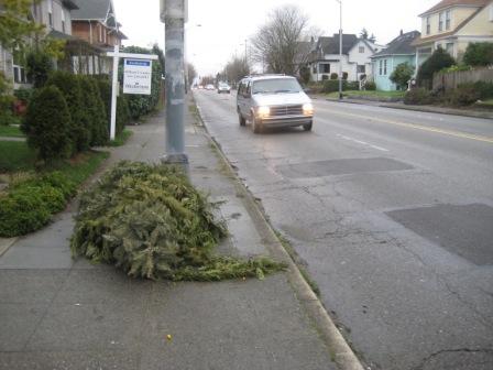 A Christmas tree blocking the sidewalk