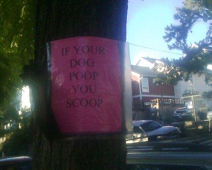 If your dog poop, you scoop.