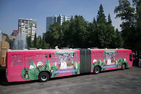 Frida on the bus