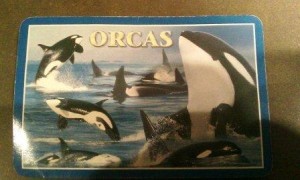 Orca 3 of hearts