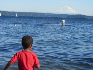 The Mountain from Madrona Park